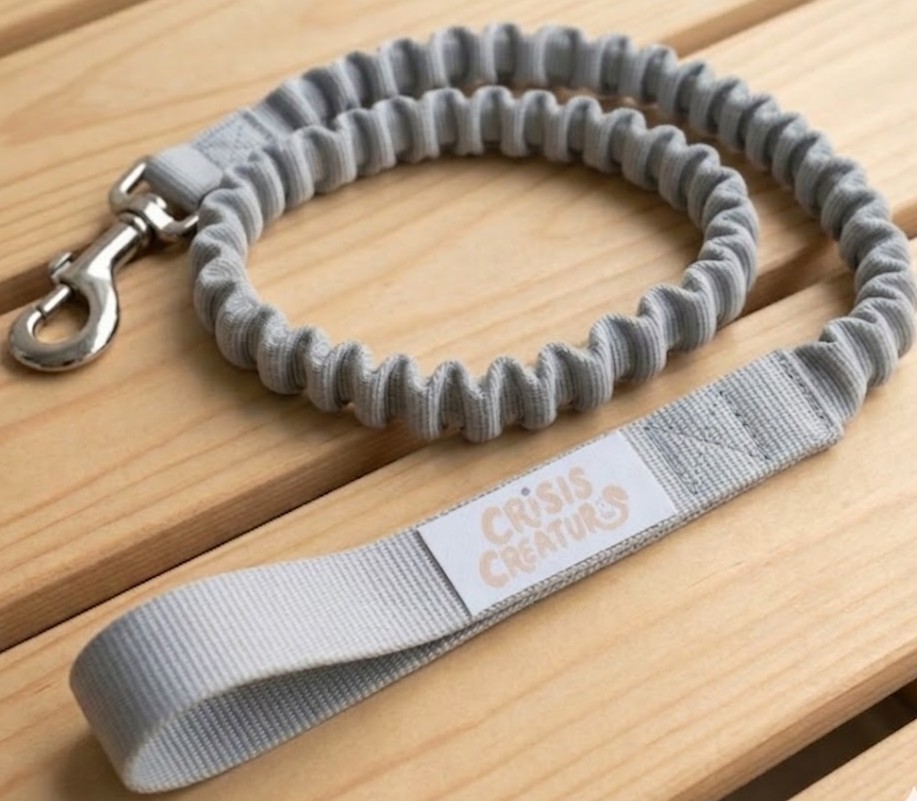 Premium Heavy-Duty Bungee Leash — Light Blue-Grey